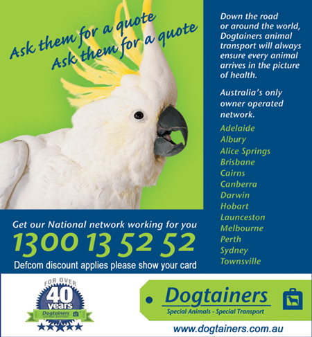 Dogtainers for animal transport